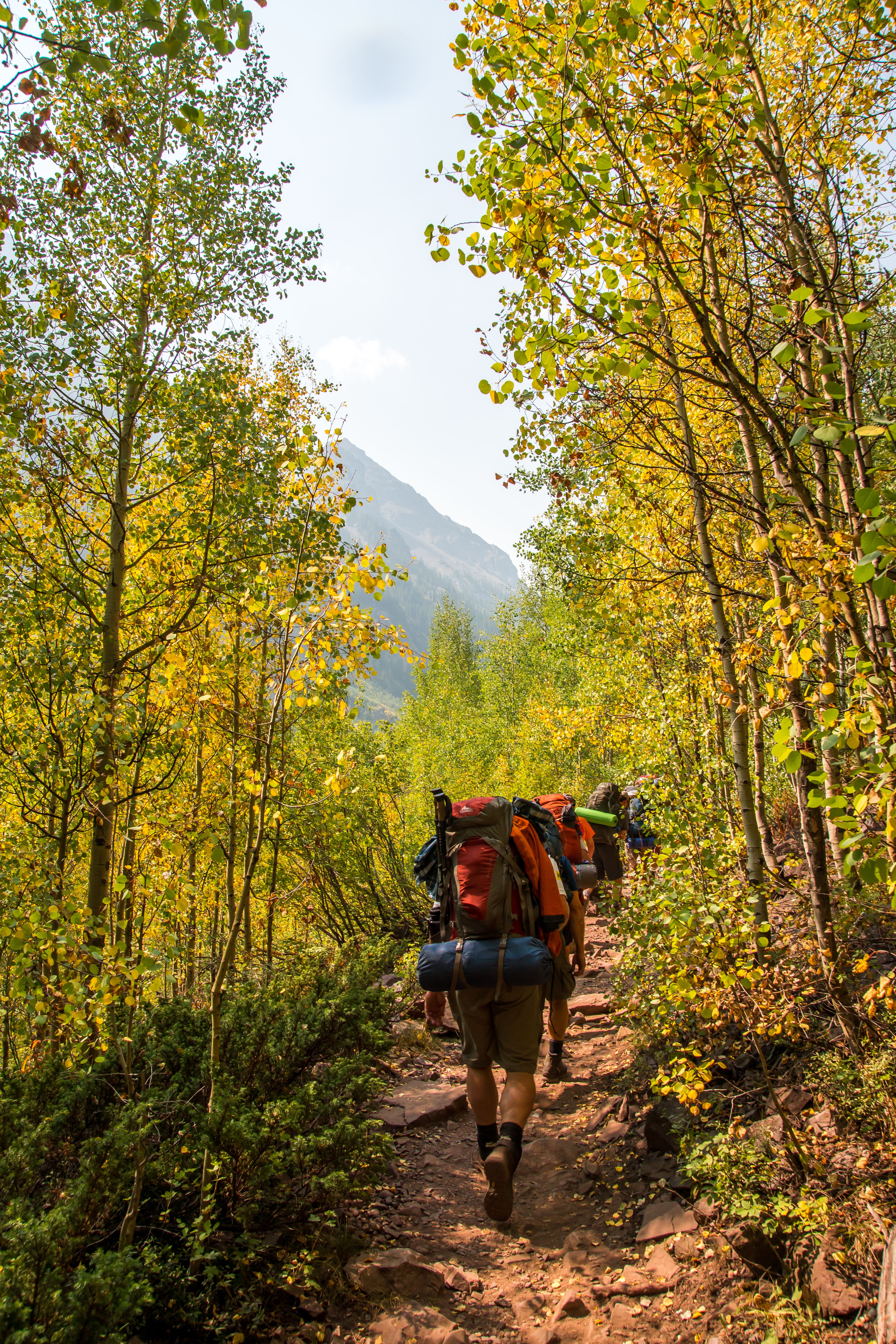 Autumn trail through golden aspen and pine forest in the Colorado foothills west of Denver